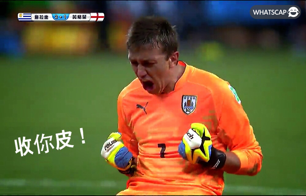 %E6%94%B6%E4%BD%A0%E | Whatscap