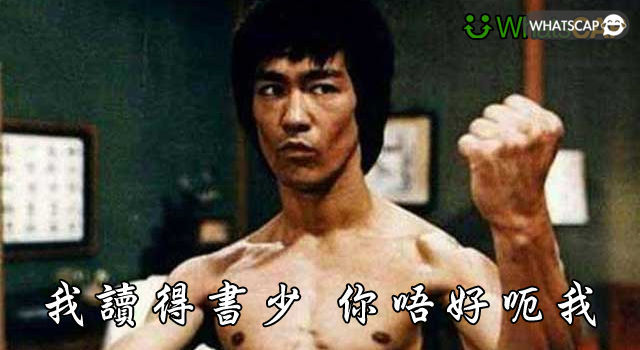 認清對錯的貓狗們