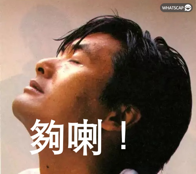 E5 A4 A0 E5 96 87 Whatscap E5 A4 A0 E5 96 87 Whatscap